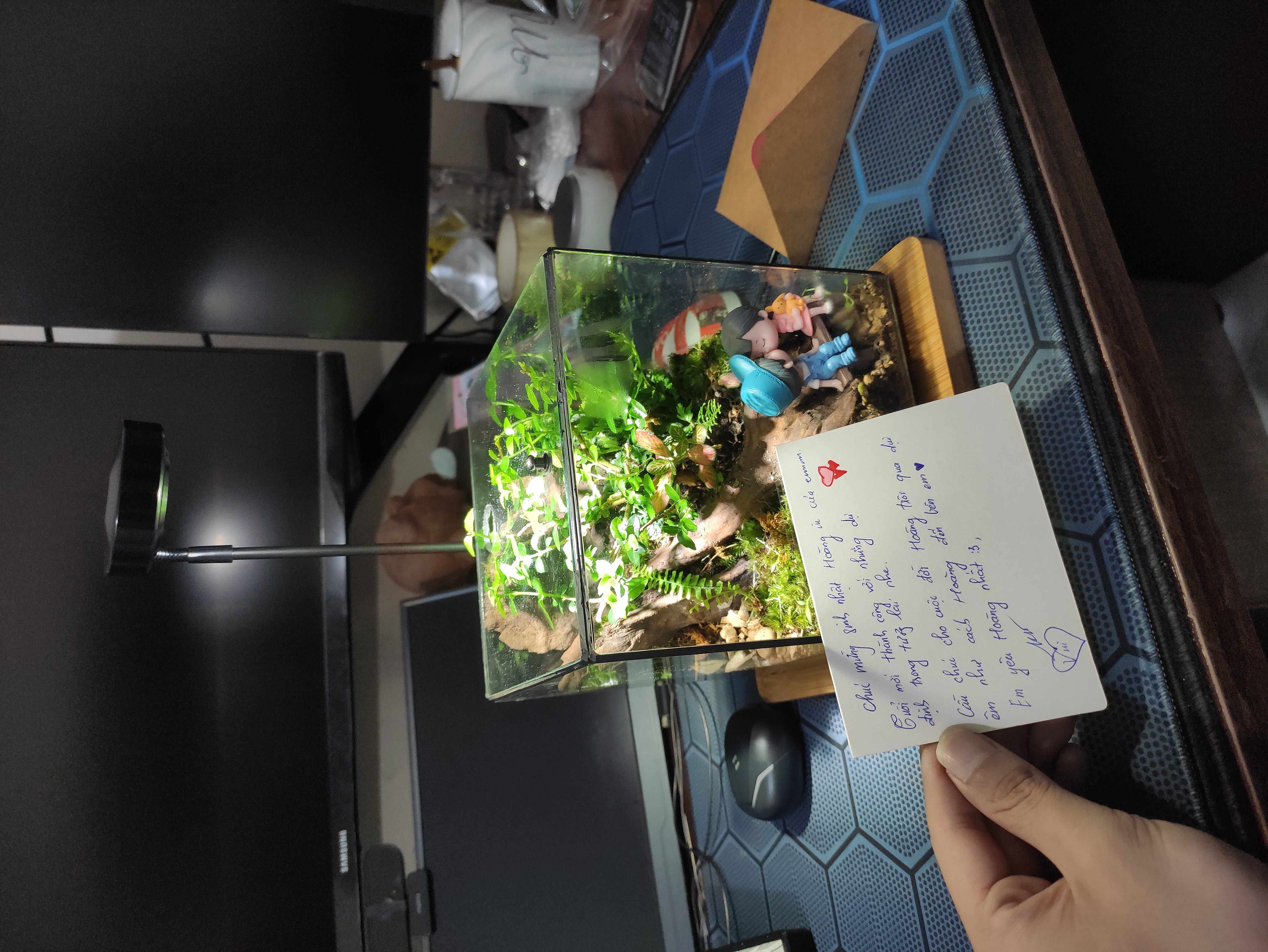 Kỷ niệm 23